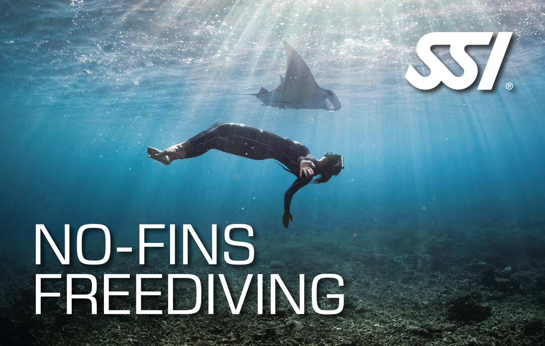 Presentation-No-Fins Freediving