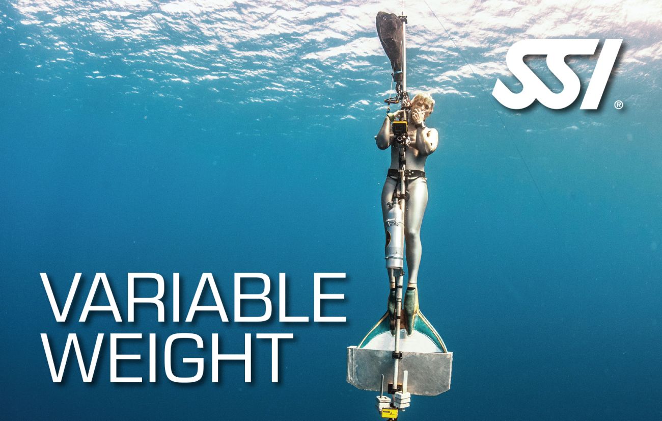 Variable Weight